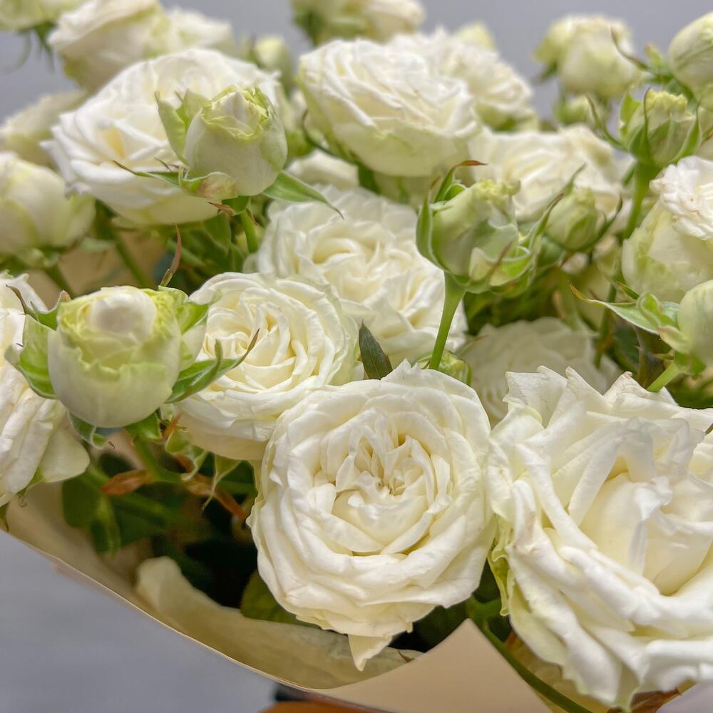 https://content2.flowwow-images.com/data/flowers/1000x1000/08/1736940357_87564908.jpg